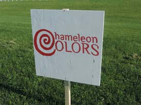 chameleon